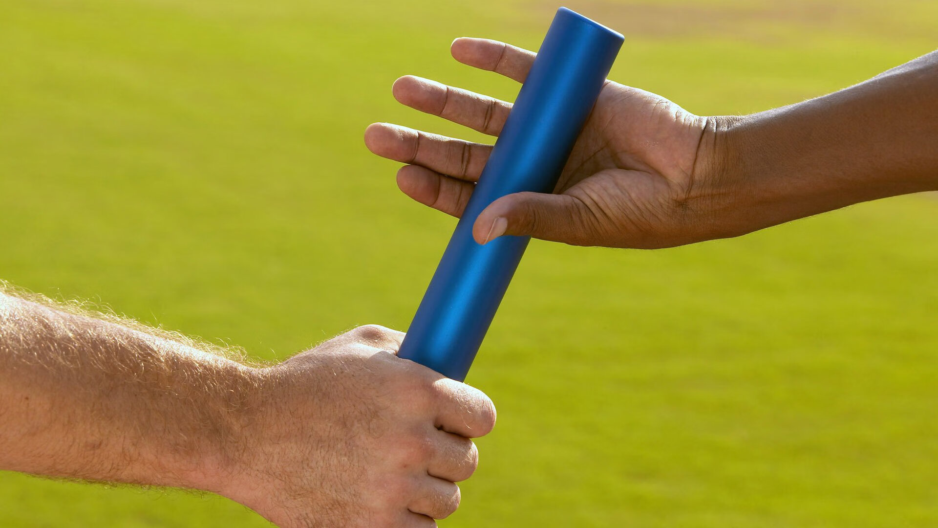 高股息股票成险资首选，背后秘密探究，高股息的好处