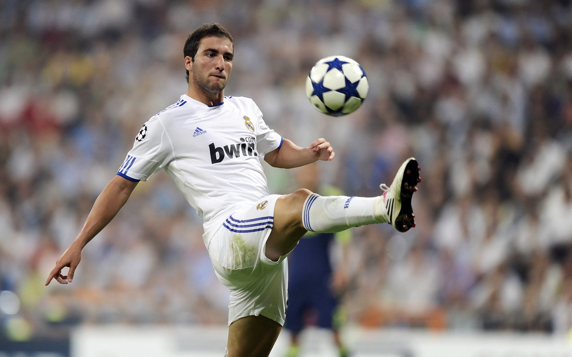 世界举重锦标赛：中国队夺冠之路辉煌绽放